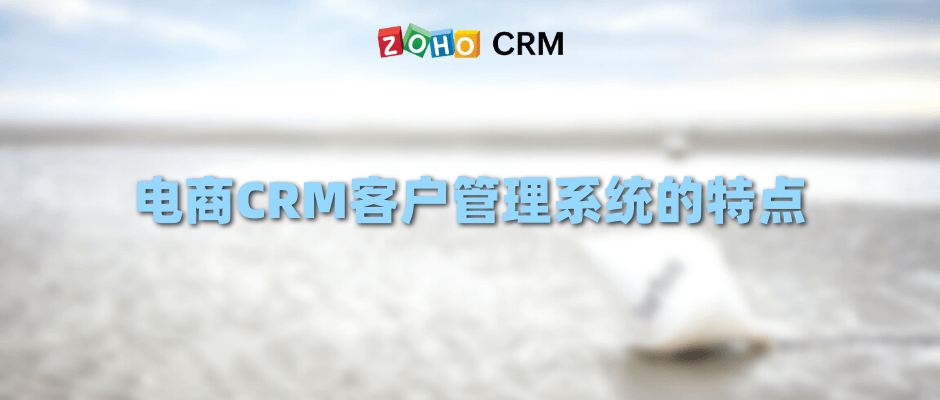 电商CRM客户管理系统的特点