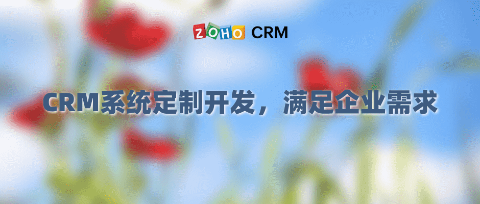 CRM系统定制开发，满足企业需求