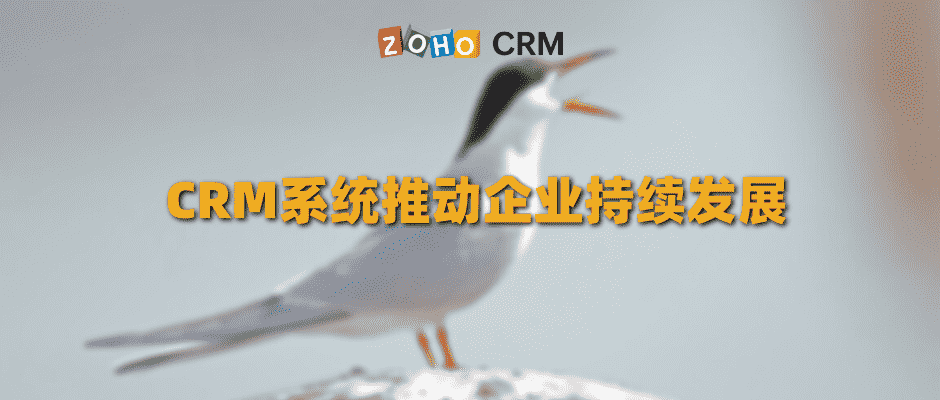 CRM系统推动企业持续发展