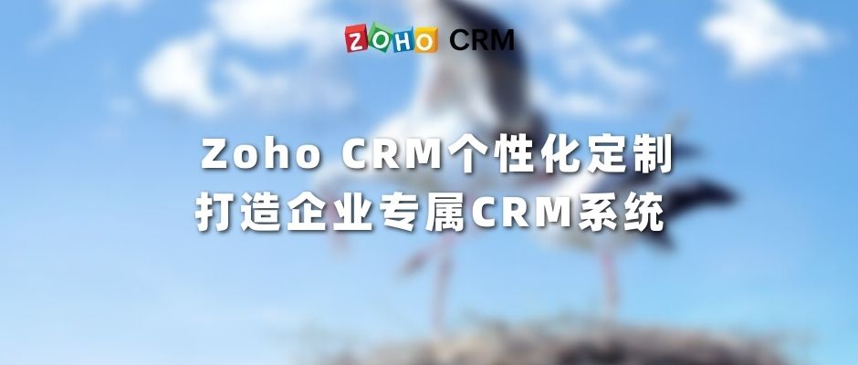 Zoho CRM个性化定制，打造企业专属CRM系统