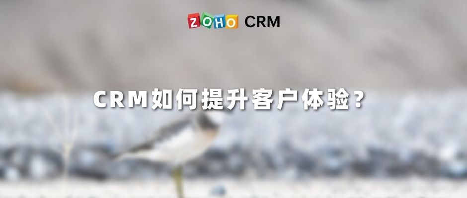CRM如何提升客户体验？
